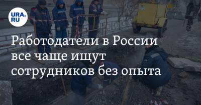 Работодатели в России все чаще ищут сотрудников без опыта - ura.news - Москва - Санкт-Петербург - Краснодар - Екатеринбург - Новосибирск - Тюмень - Казань