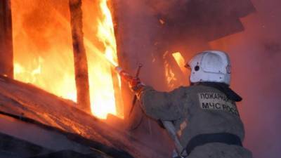 Андрей Травников - Пятеро детей и женщина пострадали при пожаре в Новосибирской области - iz.ru - Новосибирская обл.