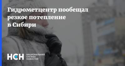 Роман Вильфанд - Гидрометцентр пообещал резкое потепление в Сибири - nsn.fm - Сибирь