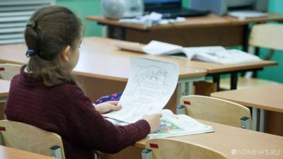 Дарья Котова - В Кургане из-за холодов частично отменили занятия в школах - newdaynews.ru - Курган