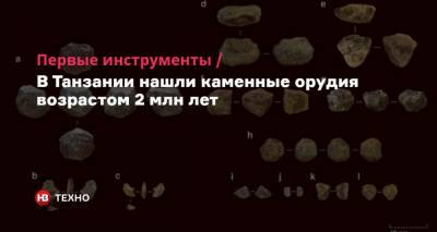 Первые инструменты. В Танзании нашли каменные орудия возрастом 2 млн лет - nv.ua - Канада - Танзания