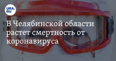 В Челябинской области растет смертность от коронавируса - ura.news - Челябинская обл.