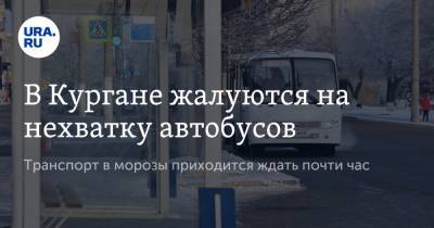 В Кургане жалуются на нехватку автобусов. Транспорт в морозы приходится ждать почти час - ura.news - Курган