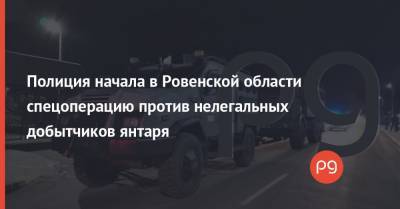 Полиция начала в Ровенской области спецоперацию против нелегальных добытчиков янтаря - thepage.ua - Ровенская обл.