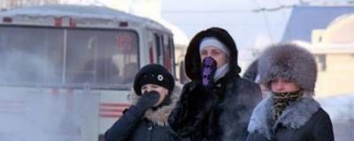 В Омской области ожидаются сильные морозы до -38 градусов - runews24.ru - Омская обл.
