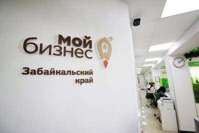 Экс-кандидата в губернаторы Забайкалья Яну Шпак назначили главой центра «Мой бизнес» - chita.ru - Чита