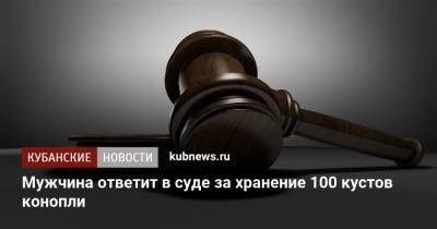 Мужчина ответит в суде за хранение 100 кустов конопли - kubnews.ru - район Приморско-Ахтарский