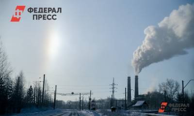 Кузбассовцы дышали перед Новым годом аммиаком, фенолом и пылью - fedpress.ru - Кемерово - Прокопьевск