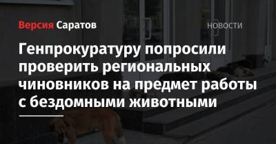 Владимир Бурматов - Генпрокуратуру попросили проверить региональных чиновников на предмет работы с бездомными животными - nversia.ru