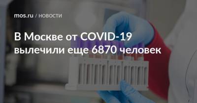 В Москве от COVID-19 вылечили еще 6870 человек - mos.ru - Москва