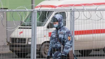 В Петербурге число выздоровевших от COVID-19 за сутки превысило заболевших - dp.ru - Санкт-Петербург