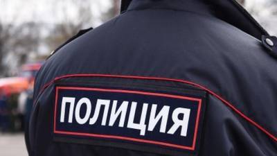 Ирина Волк - В Петербурге задержали похитителя артефакта XII века - vesti.ru - Санкт-Петербург