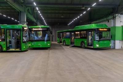 Свыше 50 новых автобусов вышли на линии в Псковской области - mk-pskov.ru - Псковская обл. - Псков - Невельск