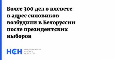 Александр Лукашенко - Более 300 дел о клевете в адрес силовиков возбудили в Белоруссии после президентских выборов - nsn.fm - Белоруссия