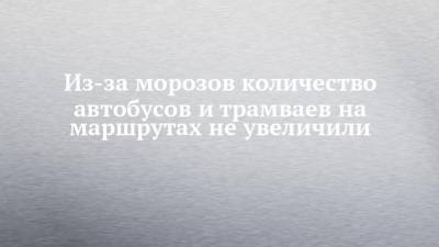 Из-за морозов количество автобусов и трамваев на маршрутах не увеличили - chelny-izvest.ru - Набережные Челны