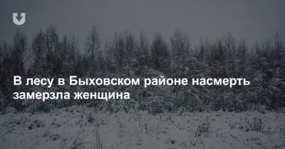 В лесу в Быховском районе насмерть замерзла женщина - news.tut.by - Белоруссия - Бобруйск - район Быховский