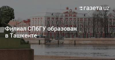 Филиал СПбГУ образован в Ташкенте - gazeta.uz - Узбекистан - Ташкент