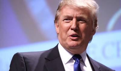 Дональд Трамп - Политолог-американист озвучил возможные пути отстранения от власти Дональда Трампа - mkset.ru