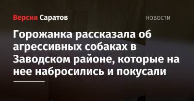Горожанка рассказала об агрессивных собаках в Заводском районе, которые на нее набросились и покусали - nversia.ru - Саратов