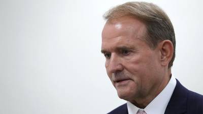 Виктор Медведчук - Медведчук рассказал о доле теневого сектора в экономике Украины - iz.ru