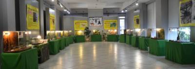 Г.Х.Ващенко - В зале галереи Ващенко открылась выставка "Пауки гиганты" - newsgomel.by