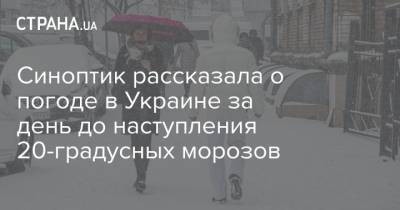 Наталья Диденко - Синоптик рассказала о погоде в Украине за день до наступления 20-градусных морозов - strana.ua - Киев - Крым