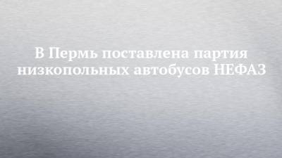 В Пермь поставлена партия низкопольных автобусов НЕФАЗ - chelny-izvest.ru - Башкирия - Пермь