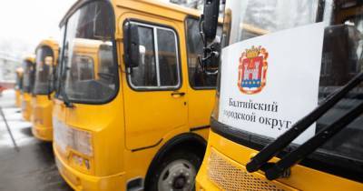 Антон Алиханов - Алиханов вручил ключи от новых автобусов школам десяти муниципалитетов области (фото) - klops.ru - Калининградская обл.