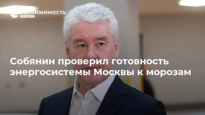 Сергей Собянин - Петр Бирюков - Собянин проверил готовность энергосистемы Москвы к морозам - realty.ria.ru - Москва