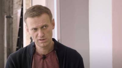 Алексей Навальный - Илья Ремесло - Илья Ремесло назвал Навального фейковым юристом - polit.info - Москва
