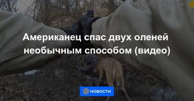 Анна Лысенко - Американец спас двух оленей необычным способом (видео) - news.mail.ru - штат Канзас