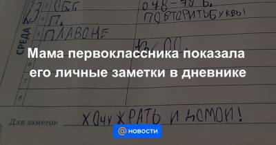 Екатерина Гура - Мама первоклассника показала его личные заметки в дневнике - news.mail.ru - Пермь