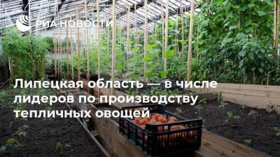 Игорь Артамонов - Липецкая область — в числе лидеров по производству тепличных овощей - smartmoney.one - Россия - Краснодарский край - респ. Татарстан - Ставрополье - Липецкая обл.