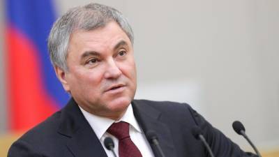 Вячеслав Володин - Председатель Госдумы назвал работу парламентских фракций эффективной - polit.info