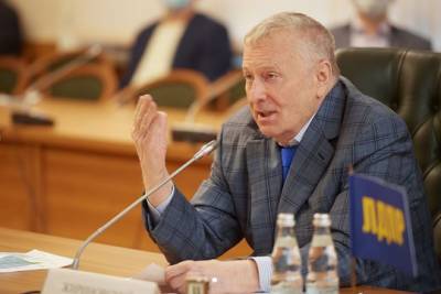 Владимир Жириновский - Жириновский допустил, что ЛДПР на выборах президента представит женщина - versia.ru