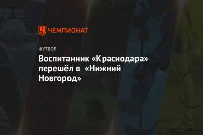 Воспитанник «Краснодара» перешёл в «Нижний Новгород» - championat.com - Краснодар - Нижний Новгород
