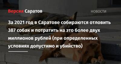 За 2021 год в Саратове собираются отловить 387 собак и потратить на это более двух миллионов рублей (при определенных условиях допустимо и убийство) - nversia.ru - Саратов