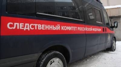 Жительница Татарстана "заморозила" двух маленьких детей в сарае - inforeactor.ru - респ. Татарстан