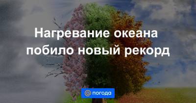 Нагревание океана побило новый рекорд - news.mail.ru - Австралия