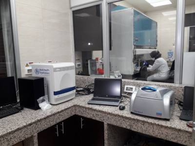 Ученые смоделировали траекторию развития SARS-CoV-2 на ближайшие 10 лет - polit.info - шт.Пенсильвания