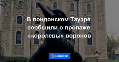 В лондонском Тауэре сообщили о пропаже «королевы» воронов - news.mail.ru - Лондон