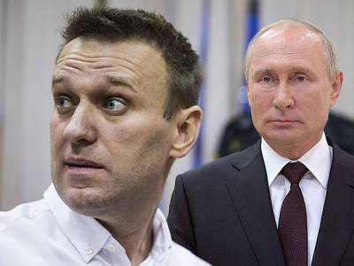 Алексей Навальный - Социолог объяснил, как уголовное дело повлияет на политическую деятельность Навального после возвращения - rosbalt.ru - Москва