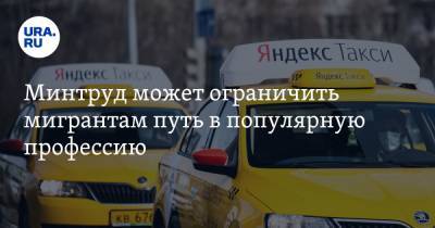 Андрей Анохин - Минтруд может ограничить мигрантам путь в популярную профессию - ura.news - Москва - Санкт-Петербург - Царьград