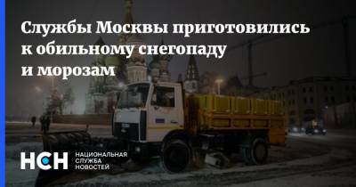 Петр Бирюков - Мороз - Службы Москвы приготовились к обильному снегопаду и морозам - nsn.fm - Москва