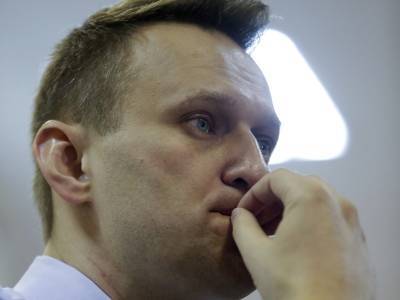 Владимир Путин - Алексей Навальный - Игнат Артеменко - Еще одно судебное заседание по делу против Навального назначили на 20 января - sobesednik.ru - Москва