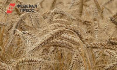 Минсельхоз России предложил увеличить пошлину на пшеницу - fedpress.ru - Москва