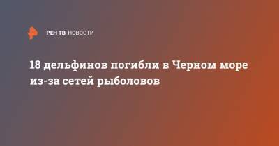 18 дельфинов погибли в Черном море из-за сетей рыболовов - ren.tv - Новороссийск