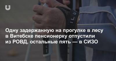 Одну задержанную на прогулке в лесу в Витебске пенсионерку отпустили из РОВД, остальные пять — в СИЗО - news.tut.by - Витебск
