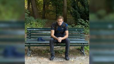 Алексей Навальный - Сергей Карнаухов - Навальный находится в федеральном розыске из-за дела "Ив Роше" - nation-news.ru - Москва