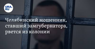Челябинский мошенник, ставший замгубернатора, рвется из колонии - ura.news - Москва - Иркутская обл. - Челябинская обл. - Челябинск